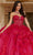 Vizcaya by Mori Lee 89477 - Sweetheart Sheer Webbed Corset Ballgown Quinceanera Dresses