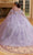 Vizcaya by Mori Lee 89477 - Sweetheart Sheer Webbed Corset Ballgown Quinceanera Dresses