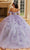 Vizcaya by Mori Lee 89477 - Sweetheart Sheer Webbed Corset Ballgown Quinceanera Dresses