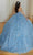 Vizcaya by Mori Lee 89478 - Floral Patterned Quinceanera Ballgown Quinceanera Dresses