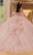 Vizcaya by Mori Lee 89479 - Crystal Beaded Quinceanera Ballgown Quinceanera Dresses