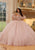 Vizcaya by Mori Lee 89479 - Crystal Beaded Quinceanera Ballgown Quinceanera Dresses