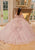 Vizcaya by Mori Lee 89479 - Crystal Beaded Quinceanera Ballgown Quinceanera Dresses