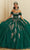 Vizcaya by Mori Lee 89481 - Glitter Applique Quinceanera Ballgown Quinceanera Dresses 00 / Emerald/Gold