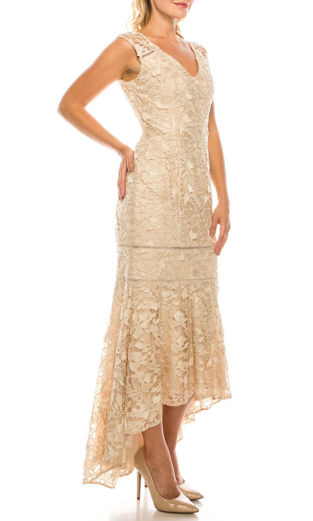 Adrianna Papell AP1E203392 Lace V Neck Dress Couture Candy