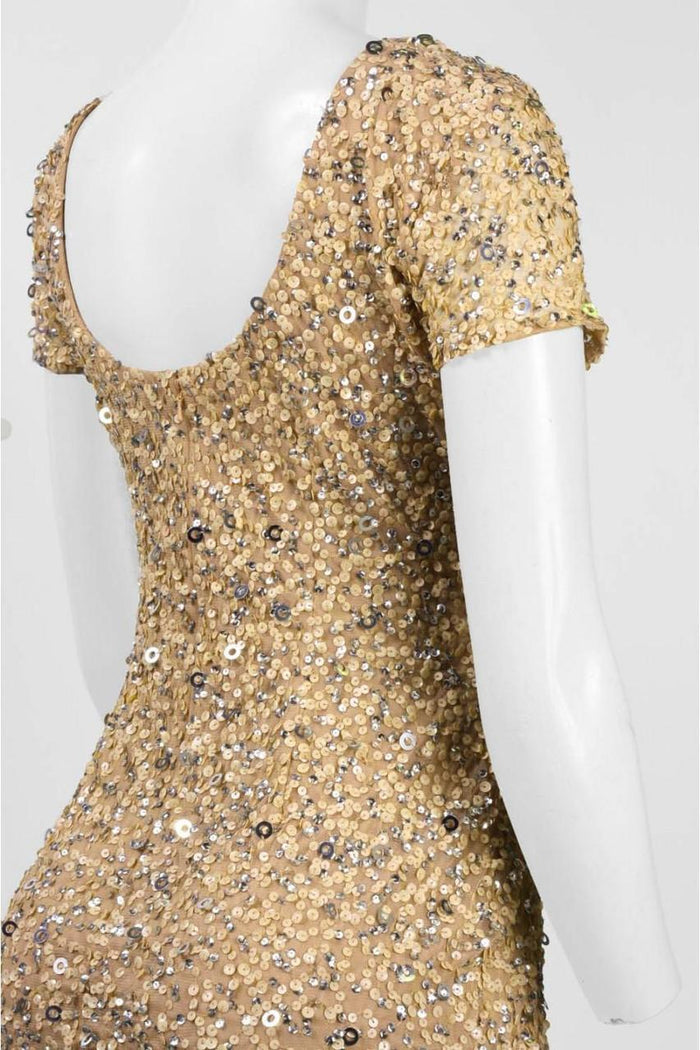 Adrianna Papell - Sequined Mesh Dress 41900220 – Couture Candy