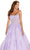 Amarra 88584 - Embroidered Sleeveless Ballgown Special Occasion Dress