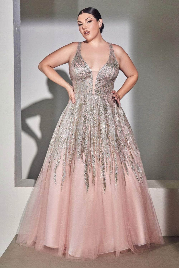 Plus Size Cinderella Prom Dress