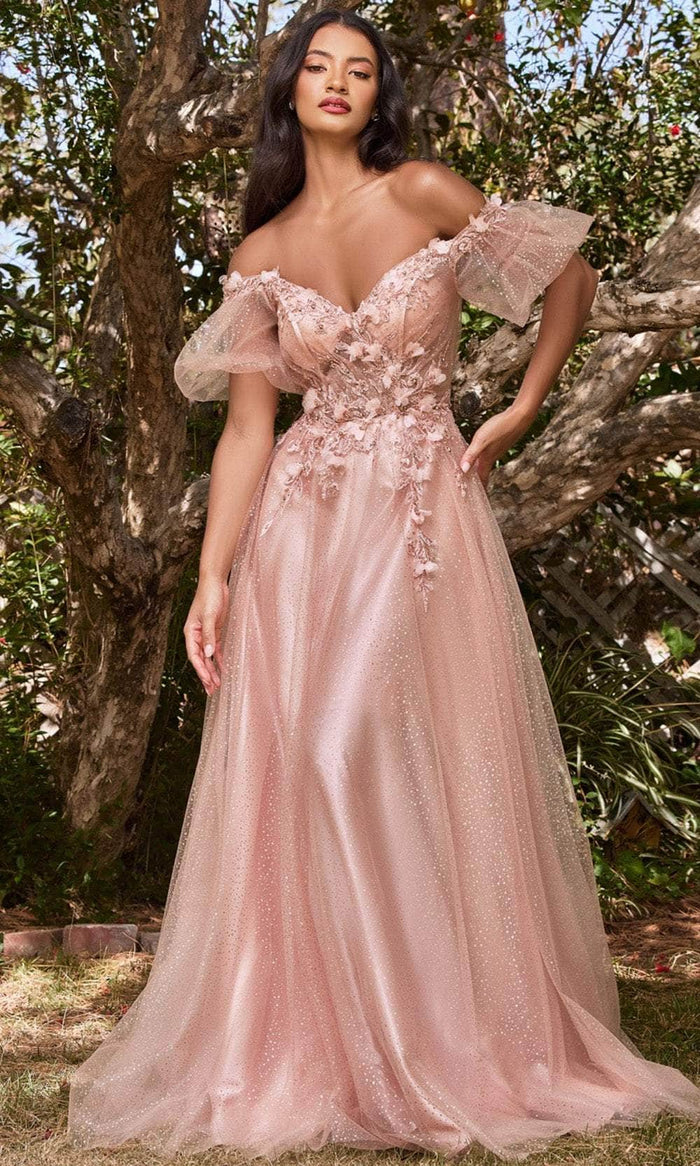 Cinderella Divine CD0197 - Off Shoulder Tulle Long Gown Evening Dresses XS / Blush