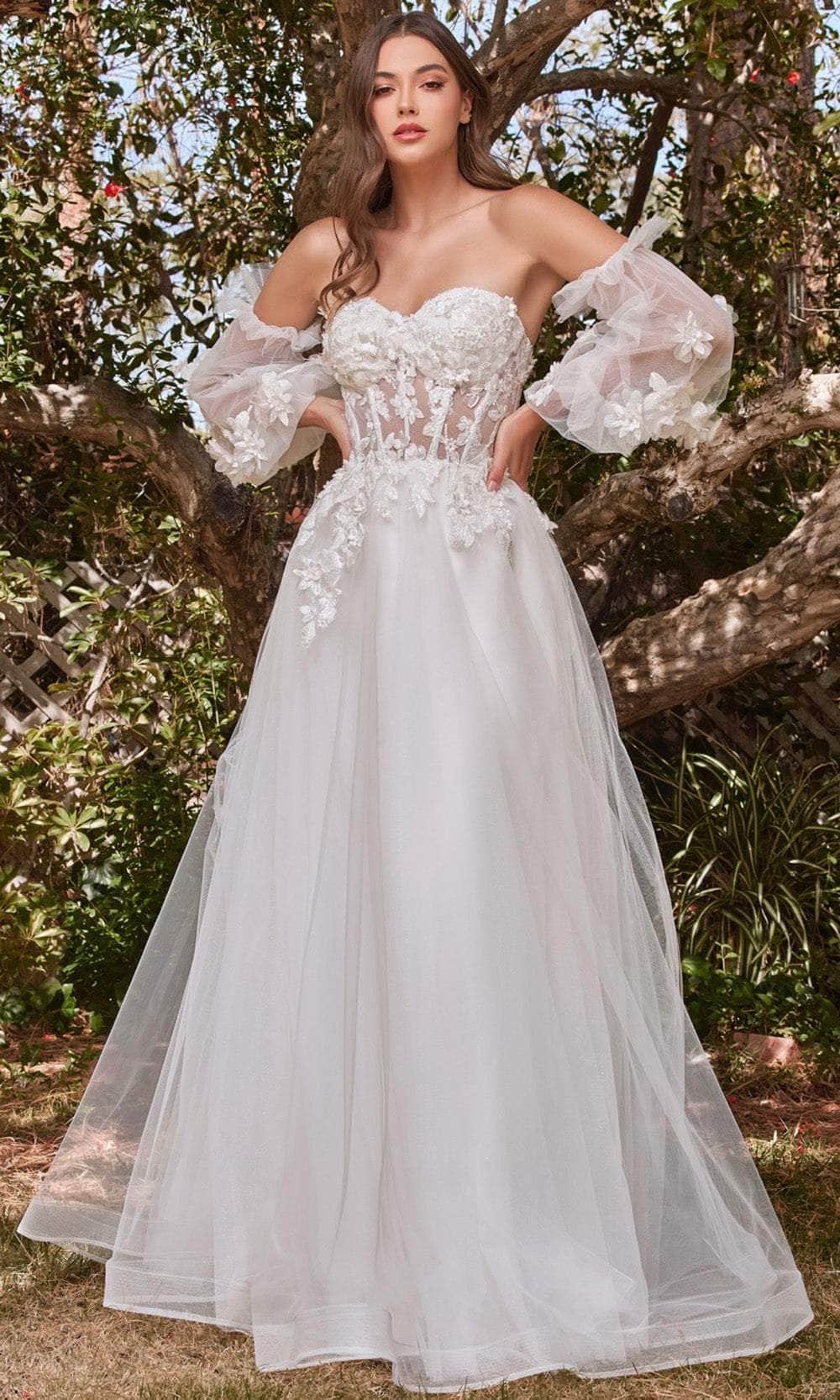 Cinderella Divine CD962W - Lace Tulle Wedding Ballgown – Couture Candy