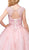 Dancing Queen - 1223 Cap Sleeve Beaded Applique Ballgown Special Occasion Dress