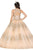 Dancing Queen - 1442 Glitter Sweetheart Quinceanera Dress Quinceanera Dresses