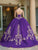 Dancing Queen 1635 - V-Neck Lace Appliqued Ballgown Ball Gowns