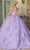 Dancing Queen 1660 - Blossom Applique Quinceanera Ballgown Ball Gowns