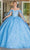 Dancing Queen 1660 - Blossom Applique Quinceanera Ballgown Ball Gowns XS / Bahama Blue