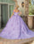 Dancing Queen 1660 - Blossom Applique Quinceanera Ballgown Special Occasion Dress