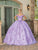 Dancing Queen 1660 - Blossom Applique Quinceanera Ballgown Special Occasion Dress