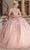 Dancing Queen 1677 - Illusion Halter Quinceanera Ballgown Ball Gowns