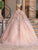 Dancing Queen 1677 - Illusion Halter Quinceanera Ballgown Special Occasion Dress