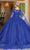 Dancing Queen 1680 - Sleeveless Glitter Quinceanera Ballgown Ball Gowns