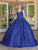 Dancing Queen 1680 - Sleeveless Glitter Quinceanera Ballgown Special Occasion Dress