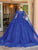 Dancing Queen 1680 - Sleeveless Glitter Quinceanera Ballgown Special Occasion Dress