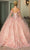 Dancing Queen 1695 - Applique Quinceanera Ballgown Ball Gowns