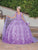 Dancing Queen 1695 - Applique Quinceanera Ballgown Special Occasion Dress