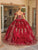 Dancing Queen 1697 - Puff Off Shoulder Quinceanera Ballgown Special Occasion Dress