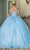 Dancing Queen 1699 - Lace Detail Quinceanera Ballgown Ball Gowns