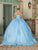 Dancing Queen 1699 - Lace Detail Quinceanera Ballgown Special Occasion Dress