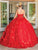 Dancing Queen 1704 - Floral Strapless Ballgown Quinceanera Dresses