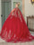 Dancing Queen 1708 - Illusion Bateau Embellished Ballgown Quinceanera Dresses