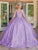 Dancing Queen 1716 - Lace Appliqued Sweetheart Ballgown Special Occasion Dress