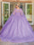 Dancing Queen 1716 - Lace Appliqued Sweetheart Ballgown Special Occasion Dress