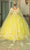 Dancing Queen 1725 - Strapless with Long Cape Ballgown Ball Gowns