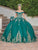 Dancing Queen 1739 - 3D Floral Quinceanera Ballgown Special Occasion Dress