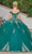 Dancing Queen 1739 - 3D Floral Quinceanera Ballgown Special Occasion Dress