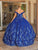 Dancing Queen 1744 - Off Shoulder Floral Ballgown Special Occasion Dress