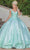 Dancing Queen 1762 - V-Neck Embroidered Ballgown Ball Gowns XS / Sage