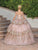 Dancing Queen 1770 - Floral Appliqued Tiered Ballgown Special Occasion Dress