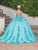 Dancing Queen 1791 - Bow Sash Quinceanera Ballgown Special Occasion Dress