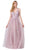 Dancing Queen - 2596 Illusion Plunging Neck Floral Applique Tulle Gown Special Occasion Dress XS / Dusty Pink