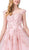 Dancing Queen - 2600 Applique Sweetheart Ballgown Special Occasion Dress