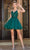 Dancing Queen 3308 - V-Neck Curled A-Line Cocktail Dress Special Occasion Dress XS / Hunter Green