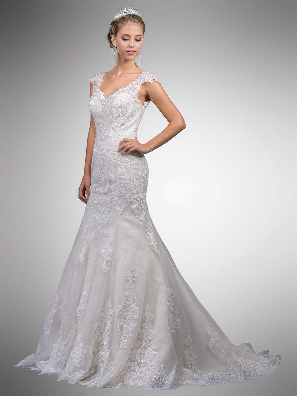 Dancing Queen Bridal - 10 V Neck Sheer Lace Back Wedding Dress ...