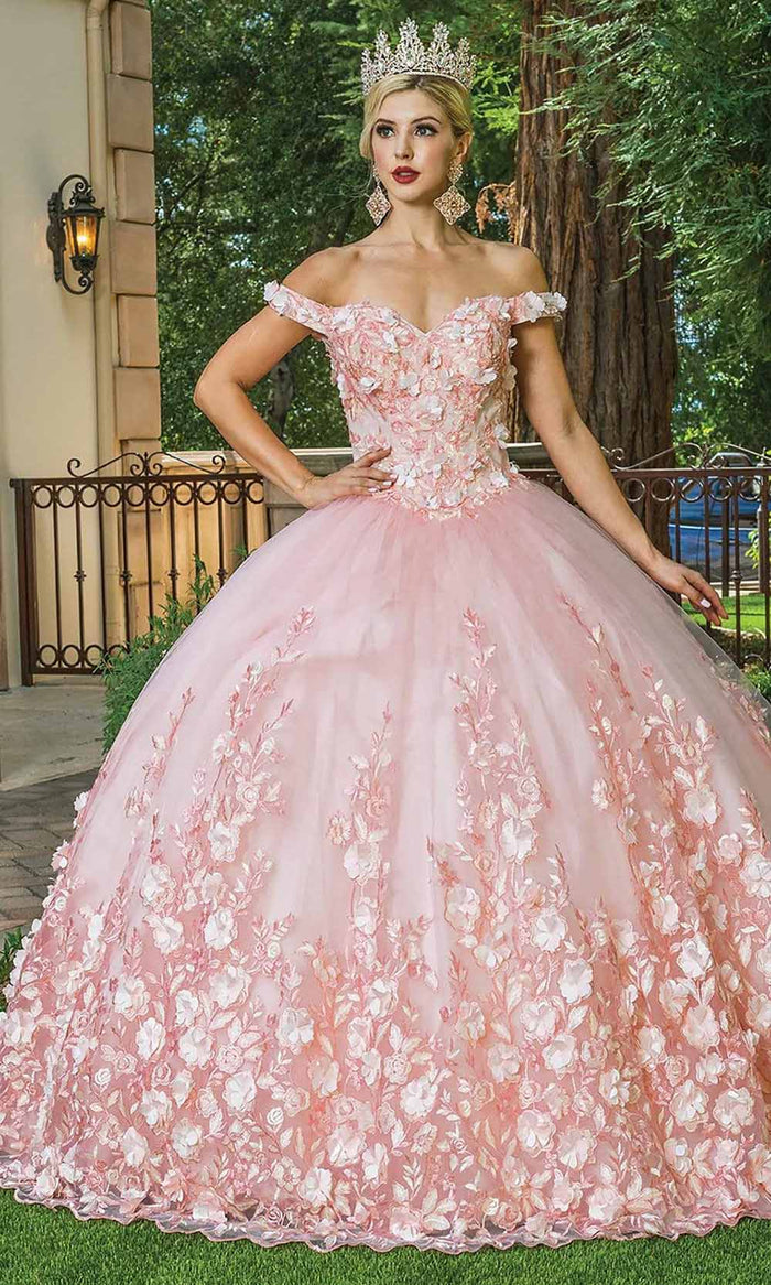 Dancing Queen - Floral Applique Ballgown 1569 - 1 pc Blush in Size XL Available CCSALE XL / Blush