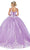 Dancing Queen - Lace Appliqued V-Neck Ballgown 1608 Quinceanera Dresses