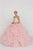 Elizabeth K - GL2430 Illusion High Halter Cascading Petal Tulle Ballgown Special Occasion Dress