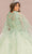 Elizabeth K GL3104 - Jewel Mesh Quinceanera Ballgown Special Occasion Dress